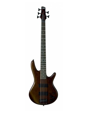 İbanez Gsr205B WNF Bas Gitar 5 Telli